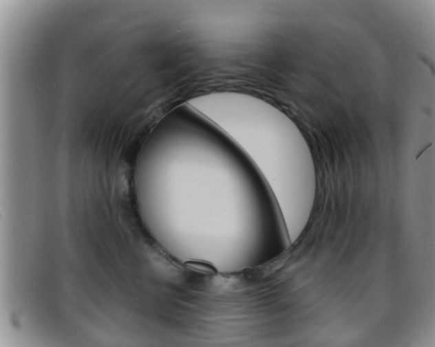 X0000096730570200802051132