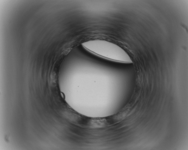X0000096730571200802051132