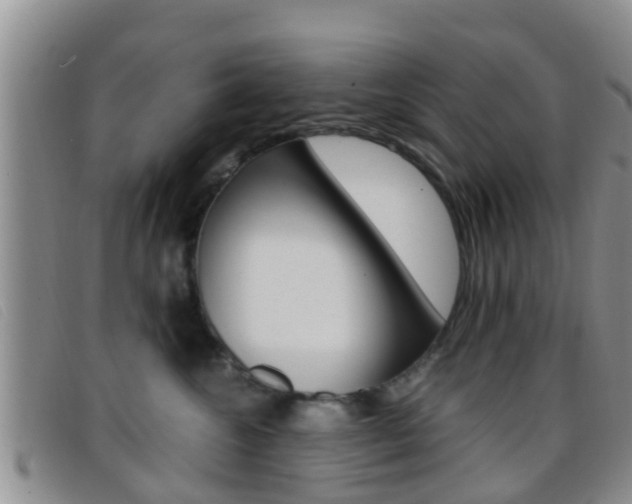 X0000096730572200802051132
