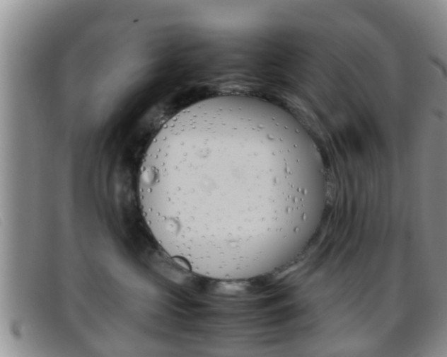 X0000096730573200802051132