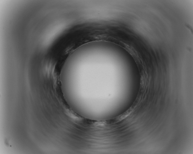 X0000096730574200802051132