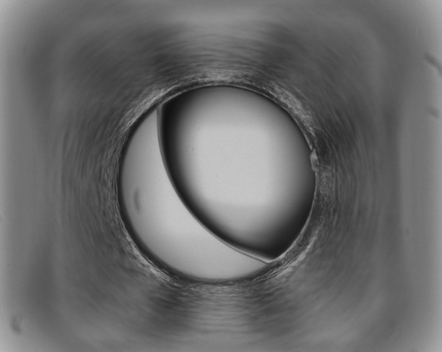 X0000096730577200802051131