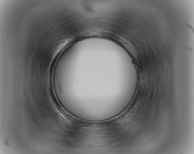 X0000096730578200802051131