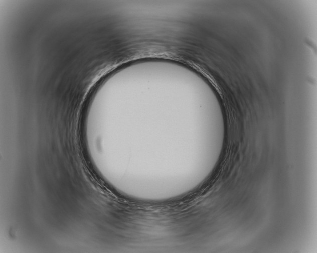 X0000096730579200802051131