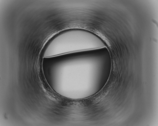 X0000096730580200802051131