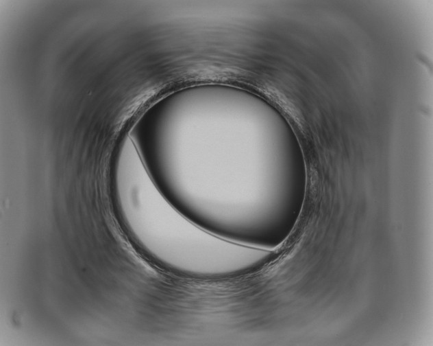 X0000096730581200802051131