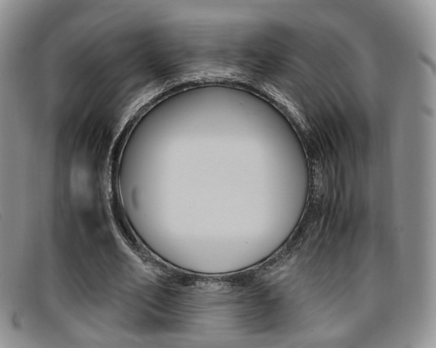 X0000096730582200802051131