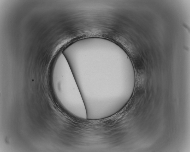 X0000096730583200802051131
