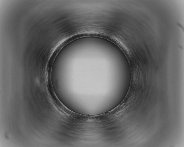 X0000096730584200802051131