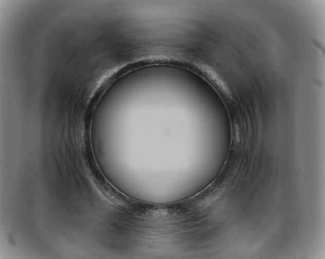 X0000096730588200802051131