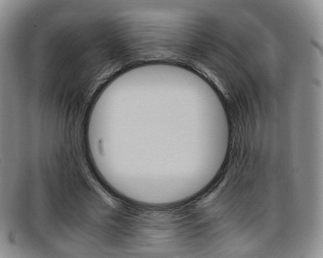 X0000096730589200802051131