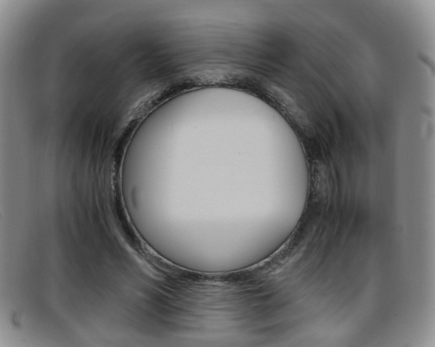 X0000096730590200802051131