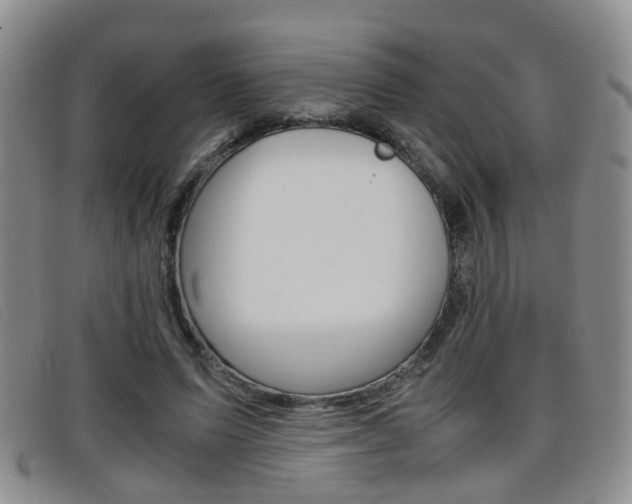 X0000096730591200802051131