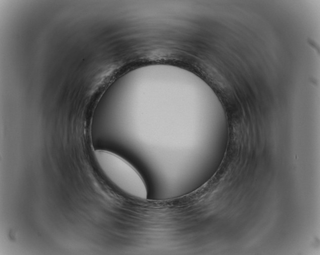X0000096730592200802051130