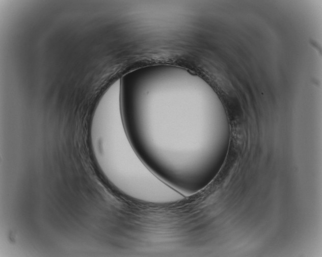 X0000096730593200802051130