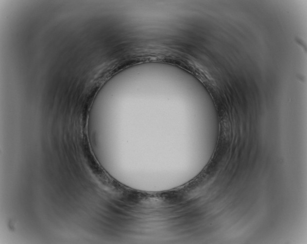 X0000096730594200802051130