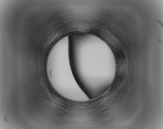 X0000096730595200802051130