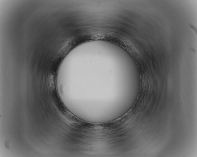 X0000096730598200802051130