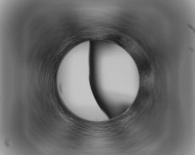 X0000096730599200802051130