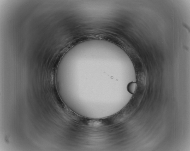 X0000096730602200802051130