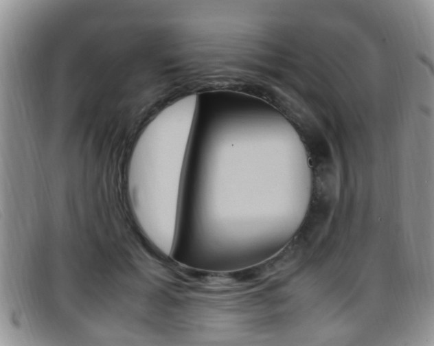 X0000096730605200802051130