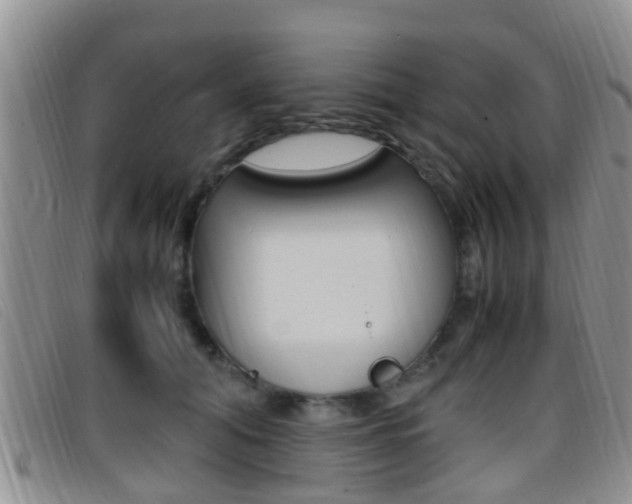 X0000096730608200802051130