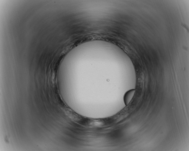 X0000096730610200802051130