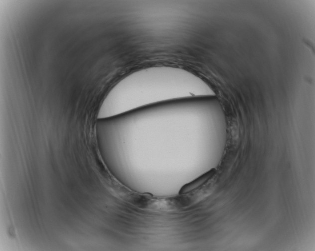 X0000096730611200802051130