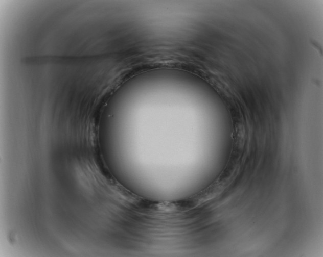 X0000096730612200802051130