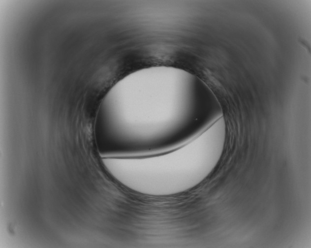 X0000096730613200802051130