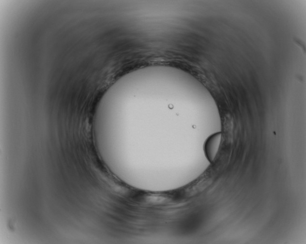 X0000096730614200802051130