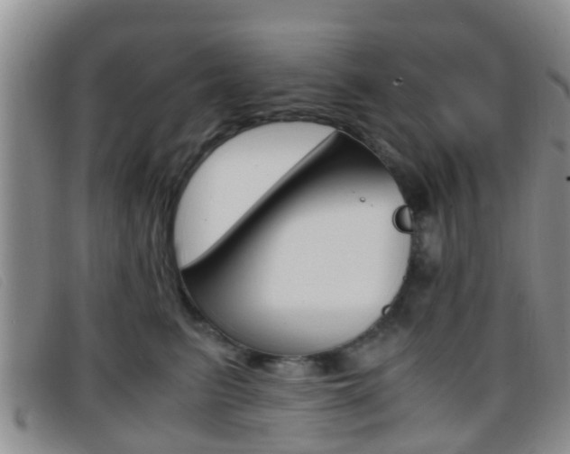 X0000096730615200802051130