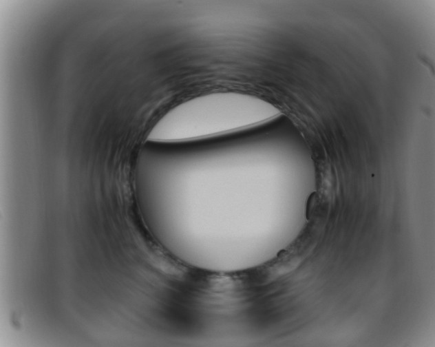 X0000096730616200802051130