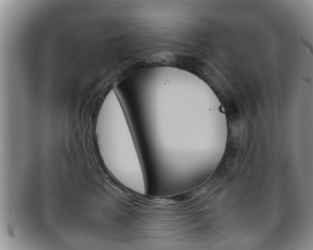 X0000096730617200802051130