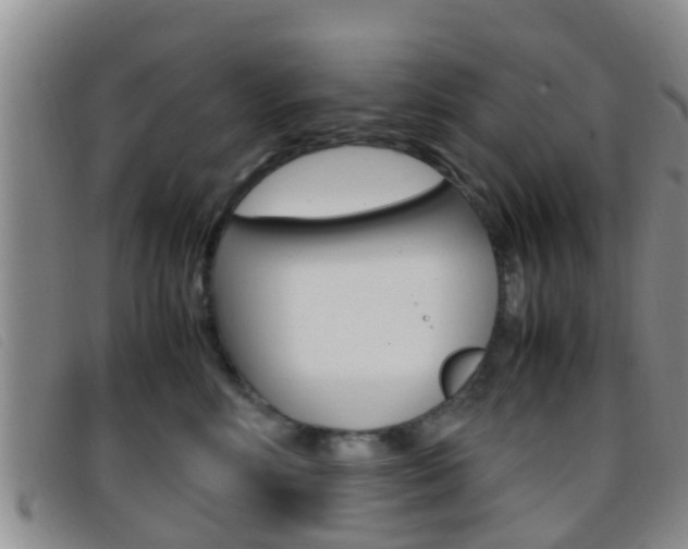 X0000096730618200802051130
