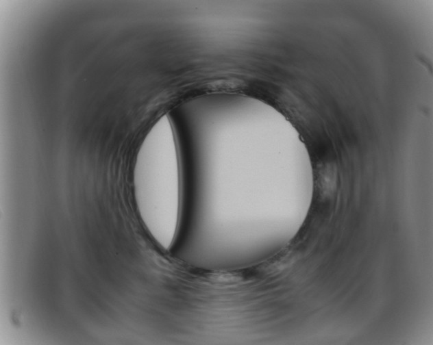X0000096730619200802051130