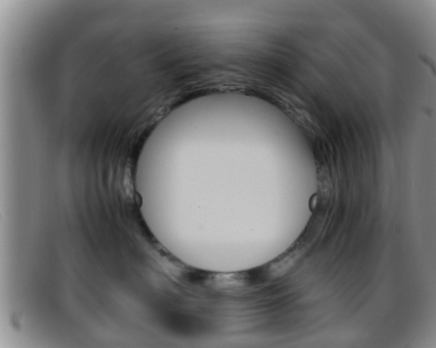 X0000096730622200802051130