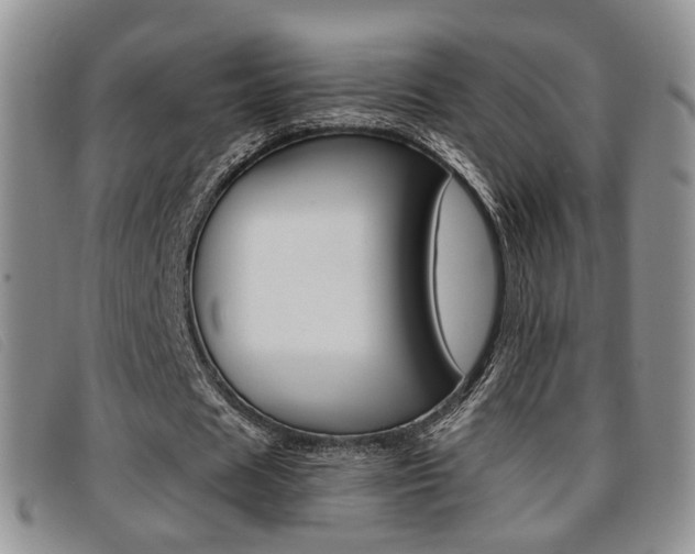 X0000096730625200802051129