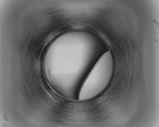 X0000096730626200802051129