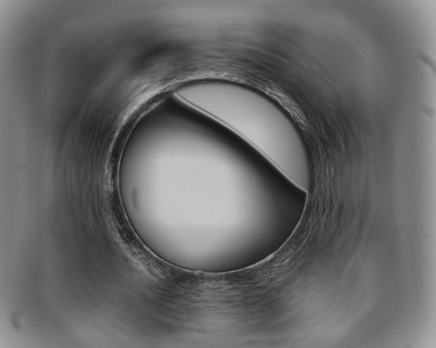 X0000096730628200802051129