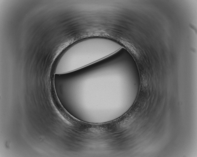 X0000096730630200802051129