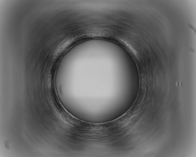 X0000096730631200802051129