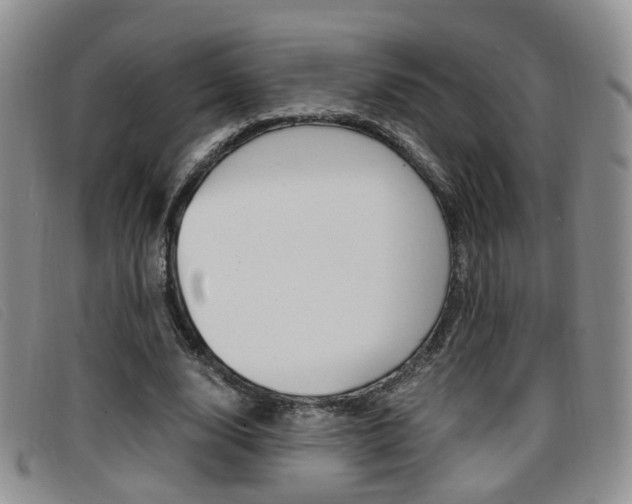 X0000096730632200802051129