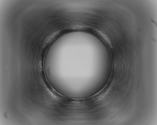 X0000096730633200802051130