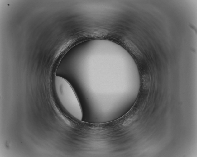 X0000096730634200802051130
