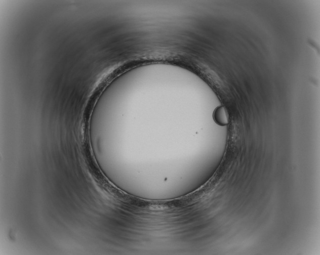 X0000096730636200802051130