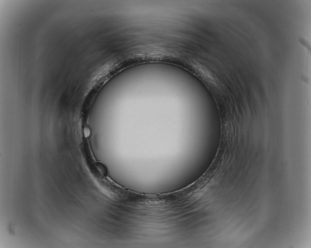 X0000096730638200802051130