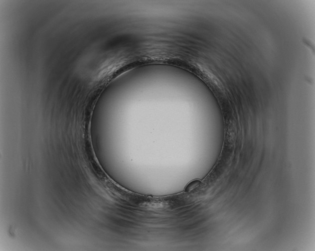 X0000096730639200802051130