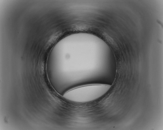 X0000096730640200802051130