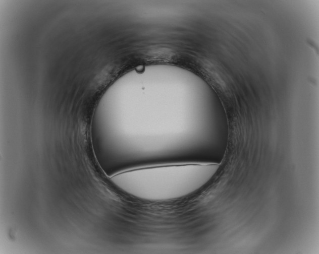 X0000096730641200802051130